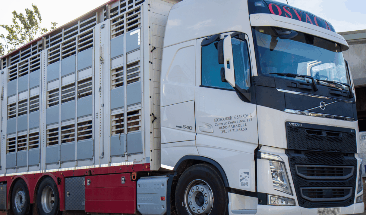 Transformació de flotes de transport Pla RTR